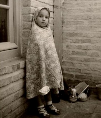 My Iranian Paradise Dr Sales